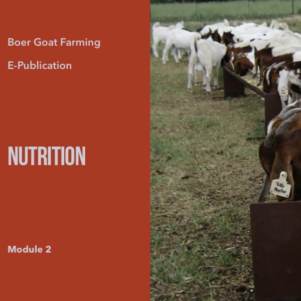 E-pub Module 2: Nutrition