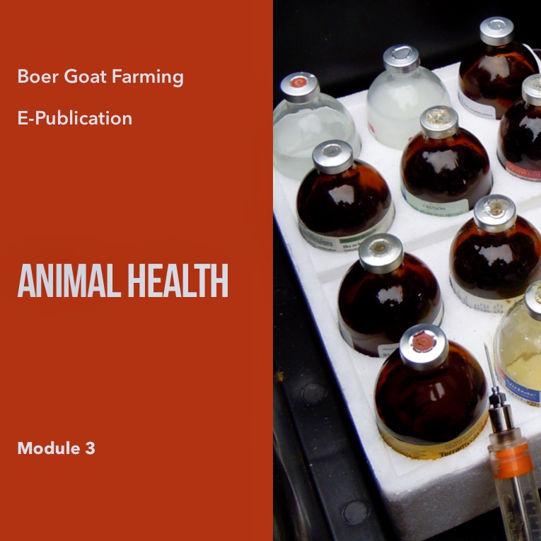 E-pub Module 3: Animal Health