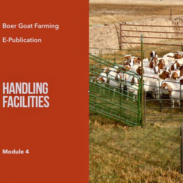 E-pub Module 4: Handling Facilities