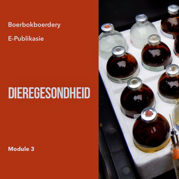 Boerbok Dieregesondheid