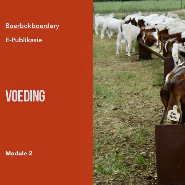 Boerbok Voeding